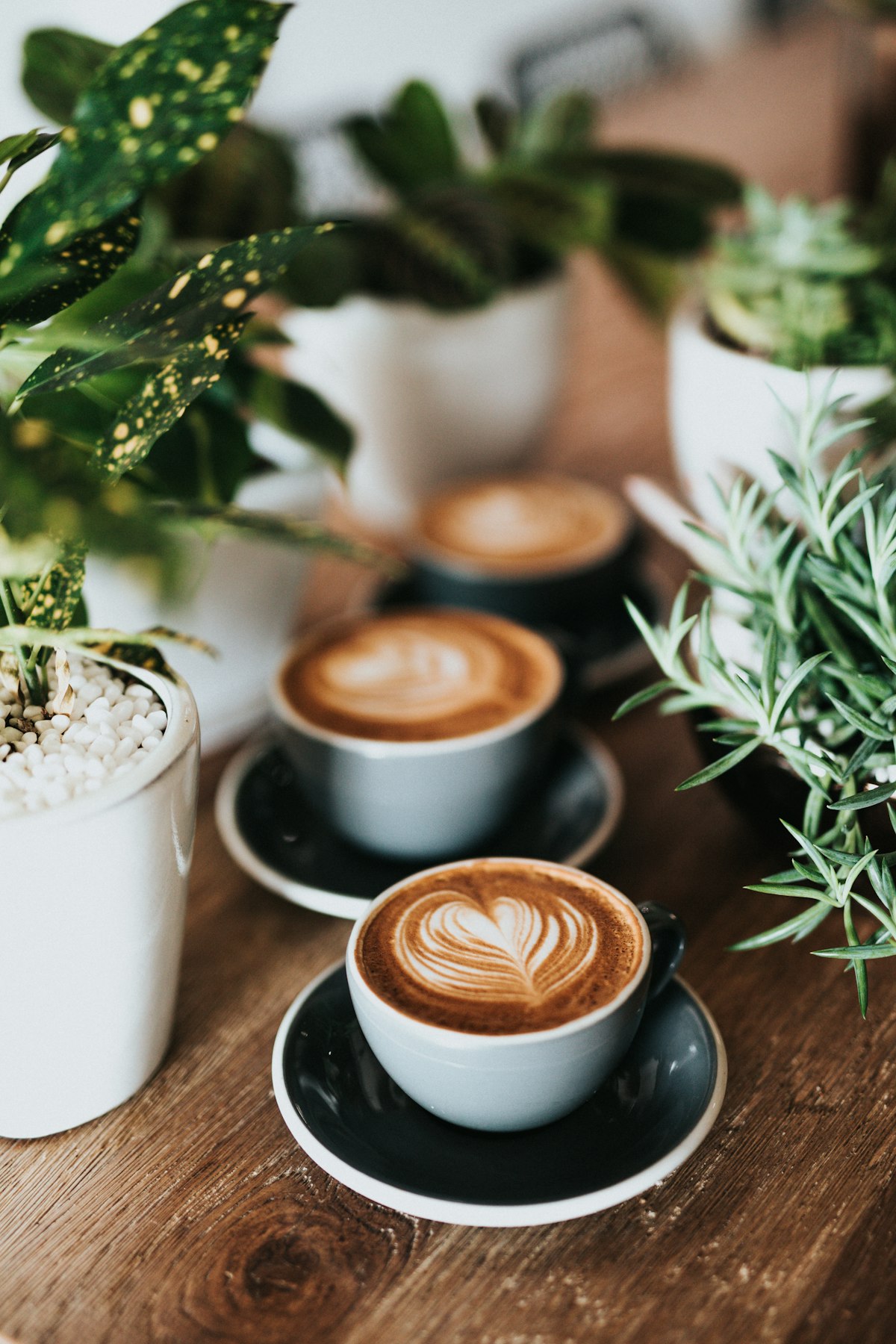 Coffee at Sancrema